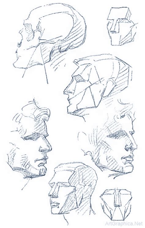 Drawing The Human Head Drawing Heads Human Anatomy Drawing Body