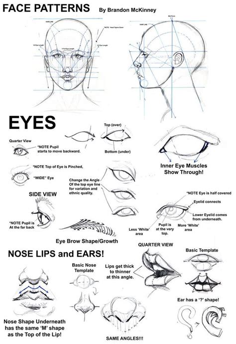 How To Draw The Face In 3 Easy Steps Step By Step Ins