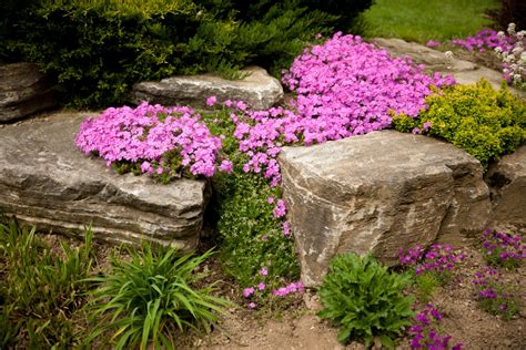 30 Flower Bed Ideas For 2019 Buy Install And Maintain Artificial Grass