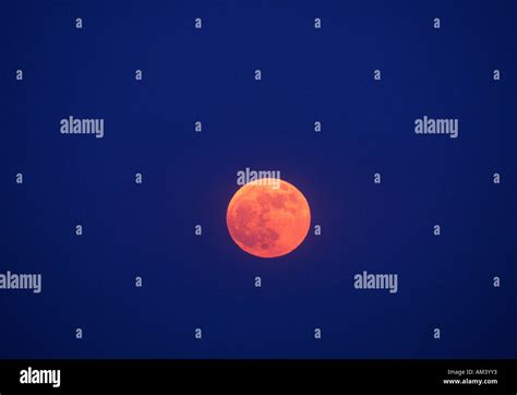 A Full Moon Against A Deep Blue Twilight Sky Stock Photo Alamy