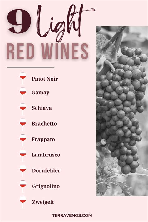 Light Red Wines — Tèr·ra·ve·nos