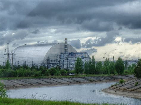 With Humans Out Of The Way Chernobyls Wildlife Thrives Popular Science