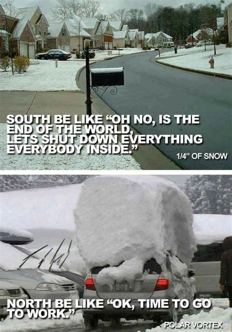 Pin By Bonnie Anthony On Fallwinter Funny Pictures Snow Memes
