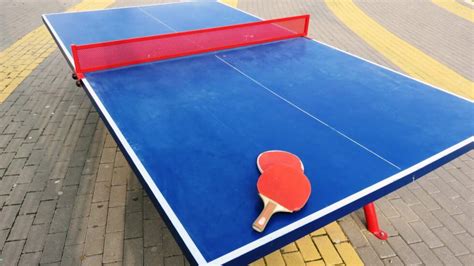 Table De Ping Pong Quelles Activités Pratiquer Dessus