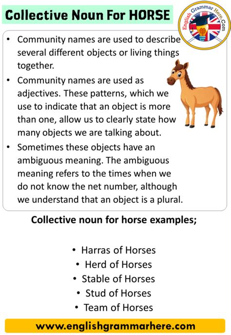 Collective Noun For Horse Collective Nouns List In English Table Of