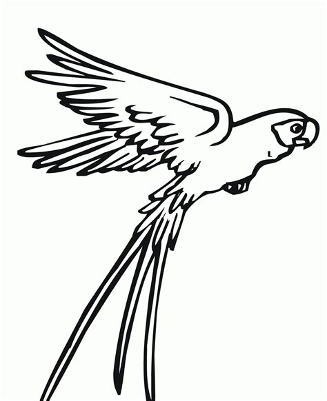 The unique arrangement of claws and toes help them to live on trees and provide grip to hold the realistic parrot coloring pages. Flying Owl Coloring Pages - Coloring Home