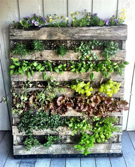 Growing Salads Fruits And Herbs Vertically Not Only Allows Urban