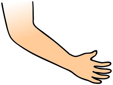 .gambar cuci tangan png 8 png image menjadikan cuci tangan sebagai gaya hidup 7 langkah cuci tangan yang benar manfaat mencuci tangan jual poster teknik mencuci tangan yang benar dapin sumber www.tokopedia.com. Hukum Potong Tangan Pencuri Miskin