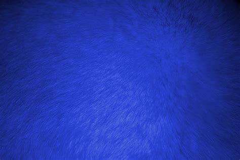 As far as i know, the only way to get a texture pack would be via mods, (i suggest using tmodloader if you use them) as a fellow furry, good luck on becoming a cute foxxo. Blue Fur Texture Picture | Free Photograph | Photos Public ...