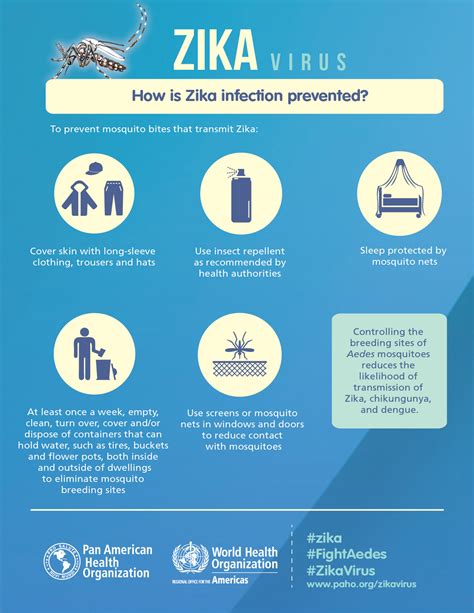 Virus Zika Embarazo Y Prevención