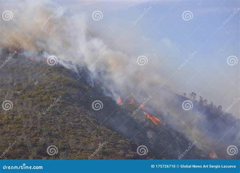 Dramatic Wildfire With Gale Force Winds On Lion S Head Mountain Cape
