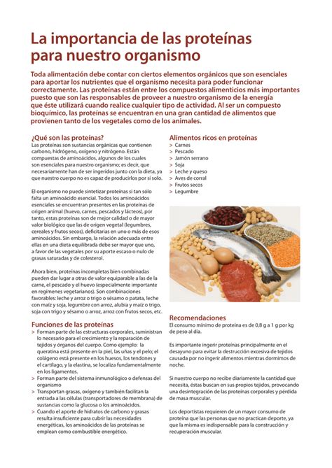 Importancia De Las Proteinas En La Nutricion Estructura De Las