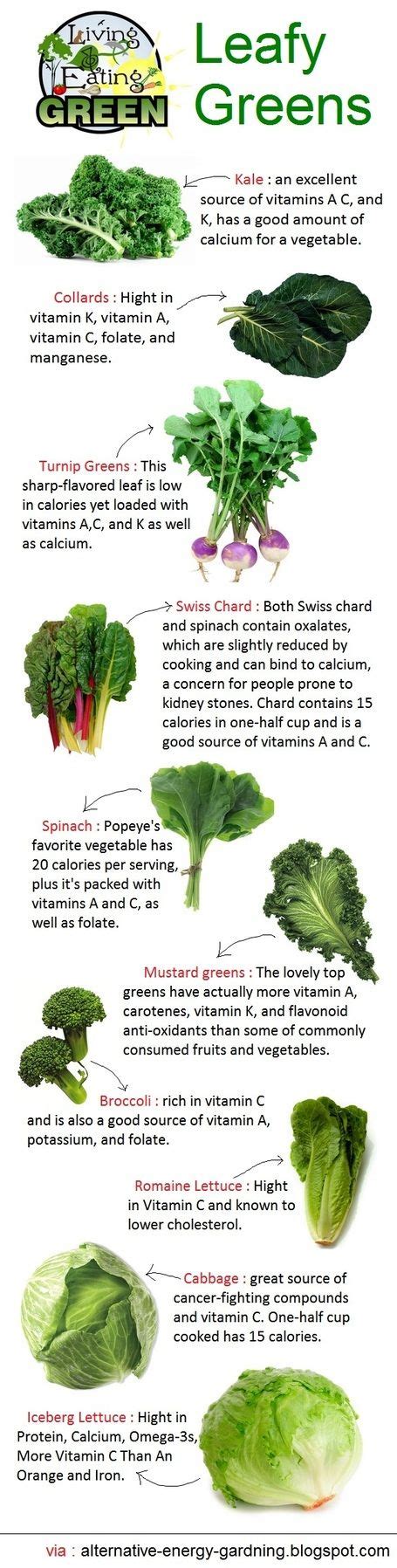 Leafy Green Vegetables Infographic Green Leafy Vegetable Green