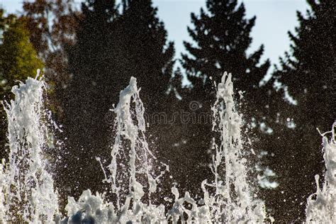 Background With Water Jets Of Fountain In The Park Stock Photo Image