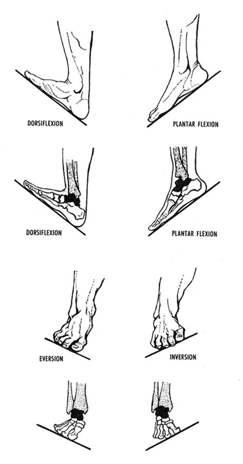 Total Ankle Replacement The Human Foot And Ankle Ankle Replacement