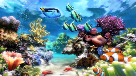 Sim Aquarium Virtual Aquarium Screensaver And Live