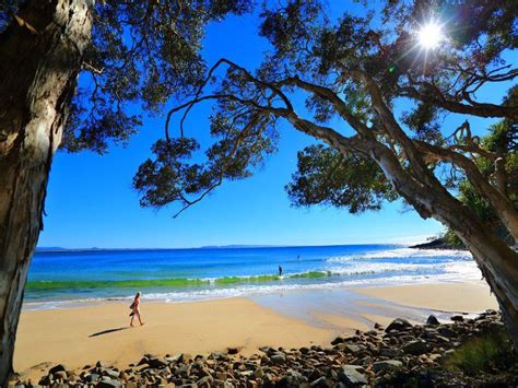 Exploring Australia S Sunshine Coast Queensland Australia Travel Inspiration