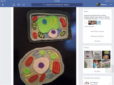 The molecular events that underlie these. felt animal and plant cell for cycle 1 Classical ...