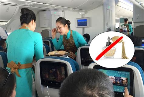 20 ordinary things that flight attendants aren t allowed to do on board dmfmemes
