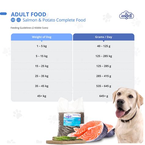 Dog Food Feeding Guide