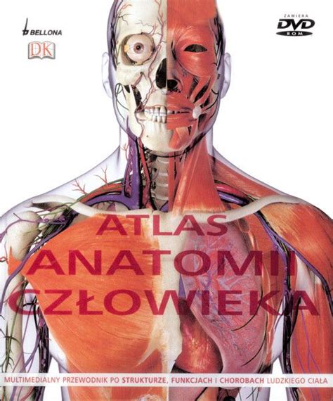 Atlas Anatomii Człowieka Steve Parker Książka Księgarnia Pwn