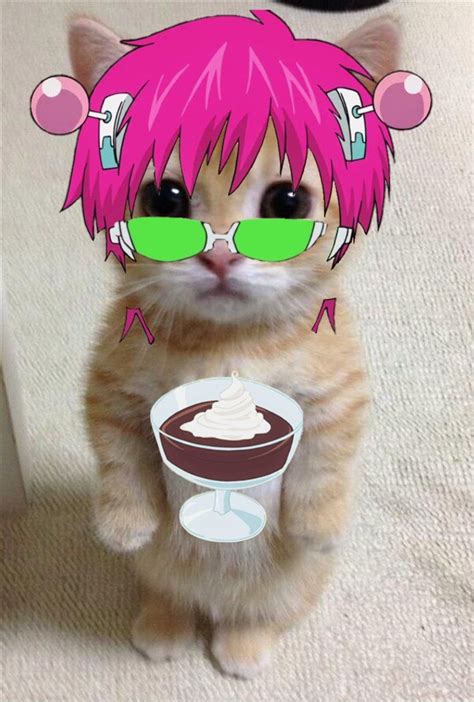 Pfp Saiki Original Anime Kitten Gato Anime Manga Anime Fanarts