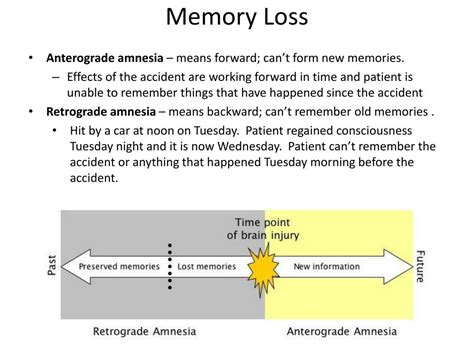 ppt long term memory powerpoint presentation free download id 2652340