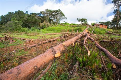 Deforestation In Malawi Stock Image C0300972 Science Photo Library