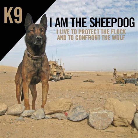 Maybe you would like to learn more about one of these? Pin by Terry McClain on K-9 | Military working dogs ...
