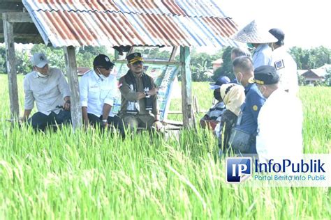 InfoPublik Kementan Dampak Perubahan Iklim 2022 Rendah Produksi