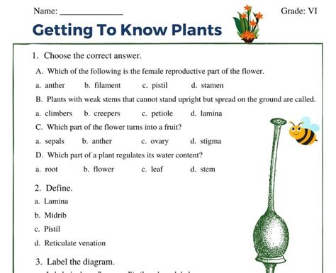 Printable Getting To Know Plants Class 6 Worksheet