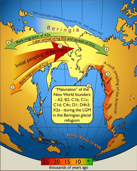 Bering Land Bridge Strip Of Land Connecting Siberia To Alaska During The Last Ice Age Whic