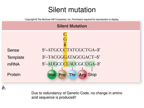 Ppt Mutation And Dna Powerpoint Presentation Free Download Id1458898