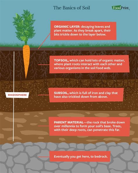 The Importance Of Soil For Climate Change Foodprint