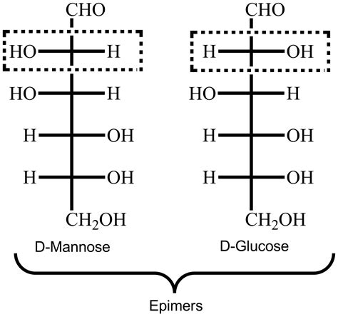 D Glucose And D Mannose Are