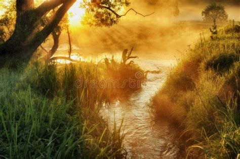 Spring Morning By The Picturesque River Golden Rays In The Fog Stock