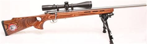 4 Best17 Hmr Rifle For Small And Accuracy Targets 2020