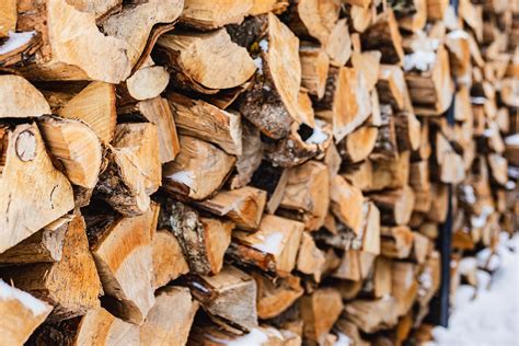 The Best Firewood For Your Wood Stove Or Fireplace