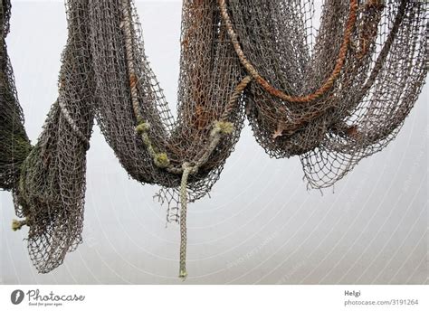 Old Fishing Net With Ropes Hanging On A White Wall A Royalty Free