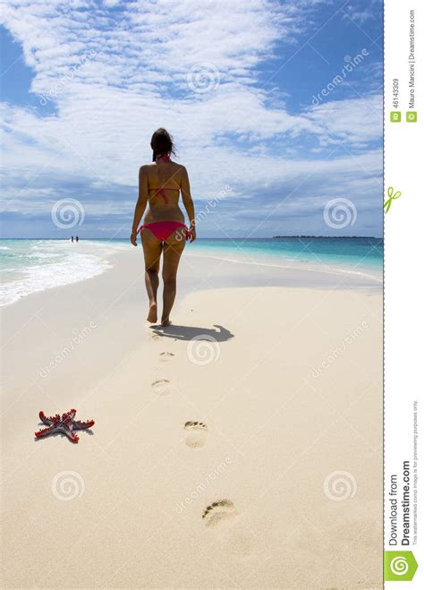 Mulher Bonita Que Anda Na Praia Imagem De Stock Imagem De Atrativo Corpo