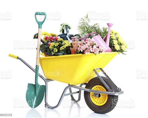 Gardening Wheelbarrow Filled With Flowers And Tools Stock Photo
