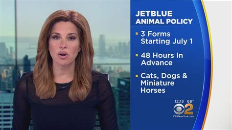 Jetblue is the latest airline to tighten and modify its policies on animals taken onboard. JetBlue Alters Emotional Support Animal Policy - YouTube