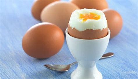 We did not find results for: Ini 10 Makanan dengan Kandungan Protein Paling Tinggi - Tentik