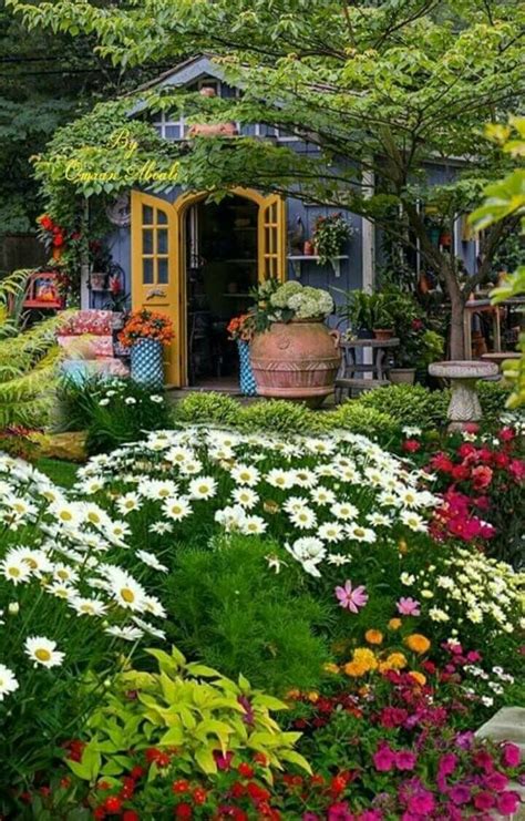 Powering your passion to live a better, more beautiful, and colorful life. My paradise. I wish I could live surrounded by nature ...