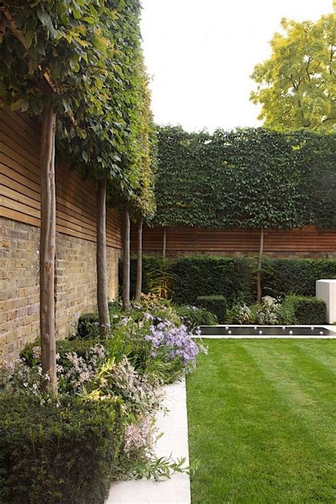 Planting Mixed Scheme London Modern Design Back Garden London Garden Blog
