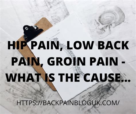 Hip Pain Low Back Pain Groin Pain What Is The Cause Back Pain