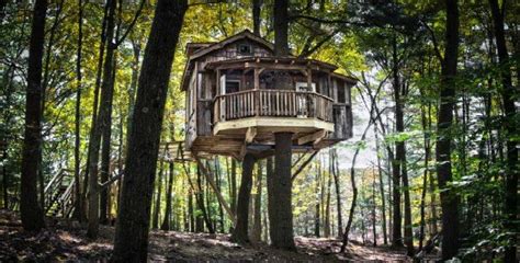 Take A Visit To These Fairytale Treehouses Cabin Obsession