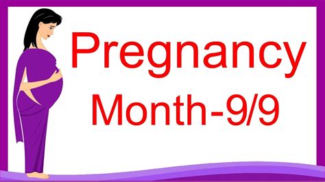 Pregnancy 9th Month Week 33 To Week 36 Youtube