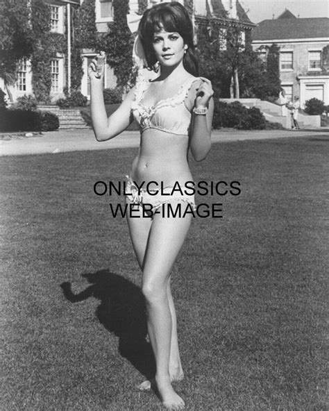 Sexy Hot Actress Natalie Wood In Bikini Swimsuit 8x10 Photo Pinup Cheesecake 349361080635 Ebay