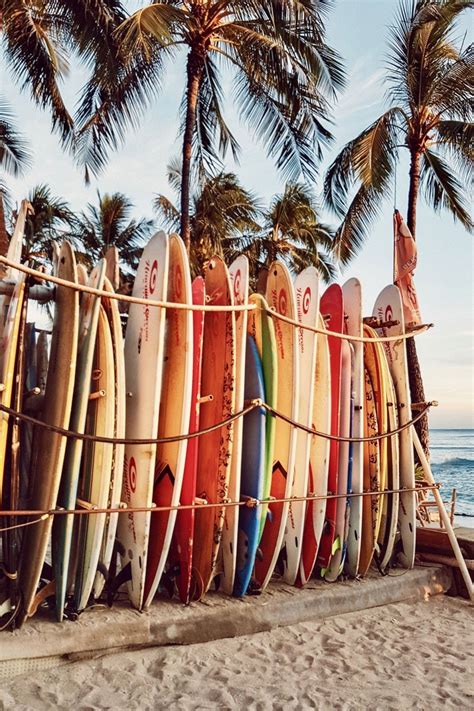 ENJOY THE PALM LIFE USAPALM COM Beach Aesthetic Hawaii Travel Hawaii Travel Guide